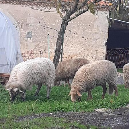 Maison De Campagne A La Ferme Pillac エクステリア 写真