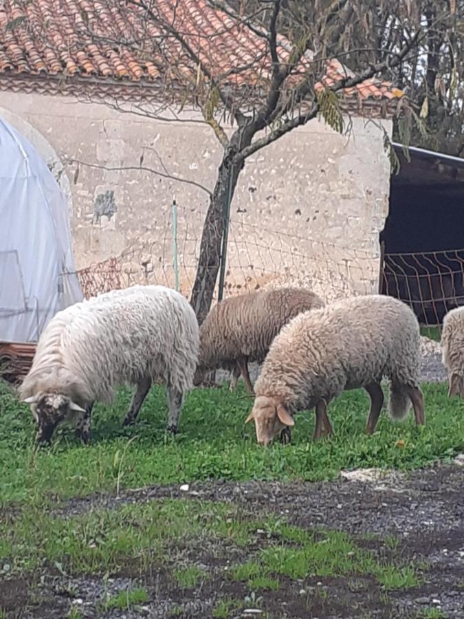 Maison De Campagne A La Ferme Pillac エクステリア 写真
